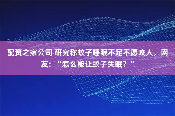 配资之家公司 研究称蚊子睡眠不足不愿咬人，网友：“怎么能让蚊子失眠？”